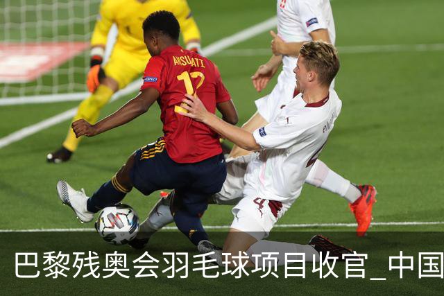 巴黎残奥会羽毛球项目收官 中国队斩获9金2银1铜